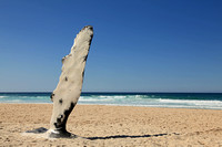 Whale Fin Sculpture on the Beach