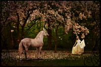 Magnolias and a White Horse