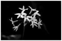IMG_8148ZB