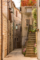 _S8A1838Z